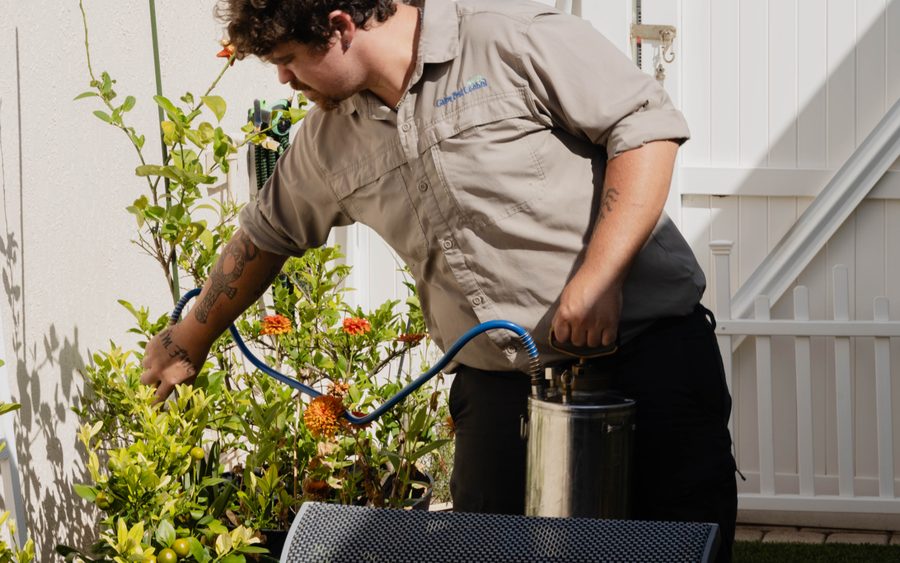 Gator Pest Control technician treating the exterior of a Brevard County home